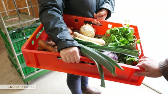 Eine Person trägt eine bunte Mischung an Wintergmüse in einer Kiste. © Screenshot 