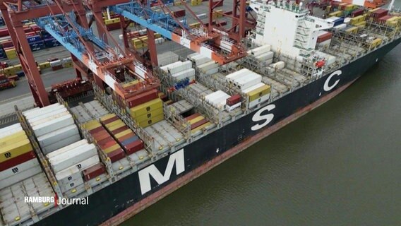 Blick auf ein Containerschiff der Reederei MSC. © Screenshot 