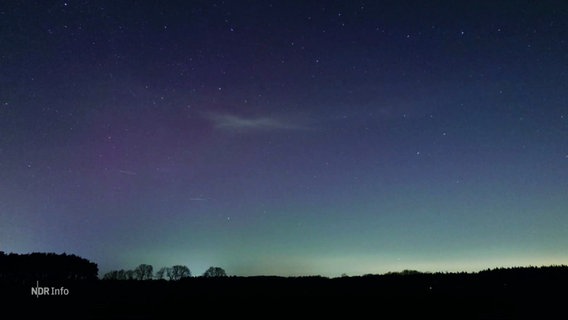 Polarlichter am Horizont des Nachthimmels. © Screenshot 