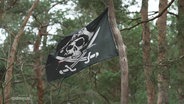 An einem Baum hängt eine Piraten-Flagge, die im Wind weht. © Screenshot 