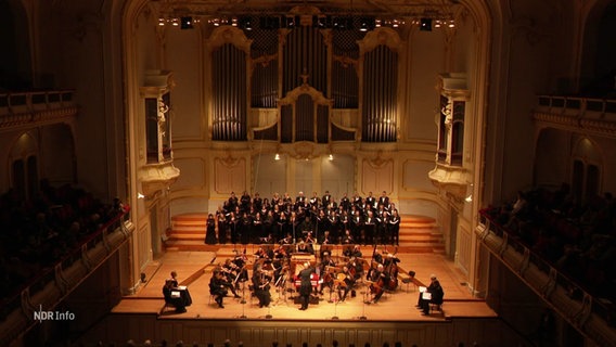Ein Orchester aus den oberen Rängen eines Theaters gezeigt. © Screenshot 