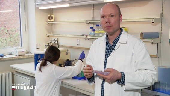 Forschende der Uniklinik Kiel experimentieren mit einem potentiellen neuen Medikament gegen Bauchspeicheldrüsenkrebs. © Screenshot 