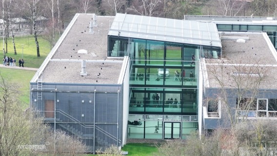 Das Wossidlo-Gymnasium in Ribnitz-Damgarten aus der Vogelperspektive. © Screenshot 