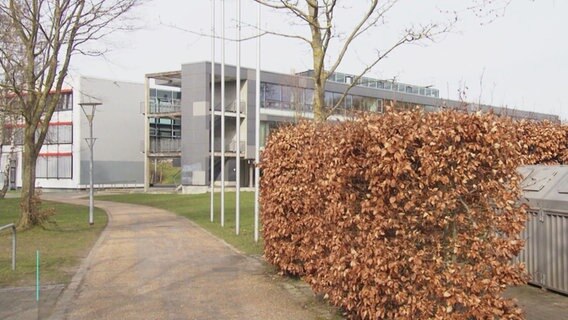 Das Gymnasium in Ribnitz-Damgarten. © Screenshot 