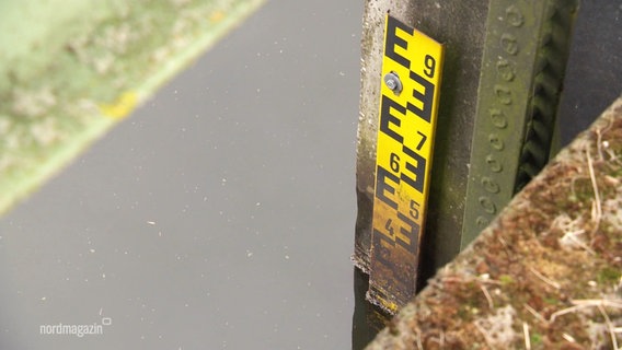 Am Gewässerrand ist eine Skala zur Messung des Pegelstands angebracht. © Screenshot 