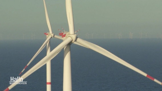 Rotoren von Windkraftanlagen drehen sich. © Screenshot 