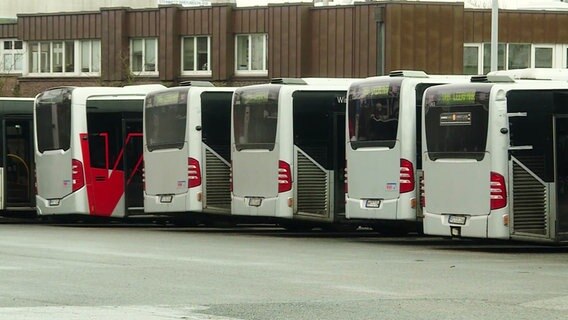 Busse der Verkehrsbetriebe Hamburg-Holstein (VHH) stehen während eines Warnstreiks auf einem Parkplatz. © Screenshot 