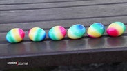 Auf einer Bank liegen nebeneinander aufgereiht bunt gefärbte Eier in Regenbogenfarben. © Screenshot 
