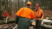 Waldarbeiter in orangener Kleidung. © Screenshot 
