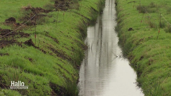 Ein Wasserlauf neben Wiesen. © Screenshot 
