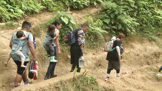 Mehrere Menschen laufen mit Reisegepäck und Kleinkindern auf dem Rücken durch einen Regenwald. © Screenshot 