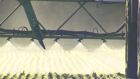 Pestizide werden auf ein Feld aufgebracht © Screenshot 
