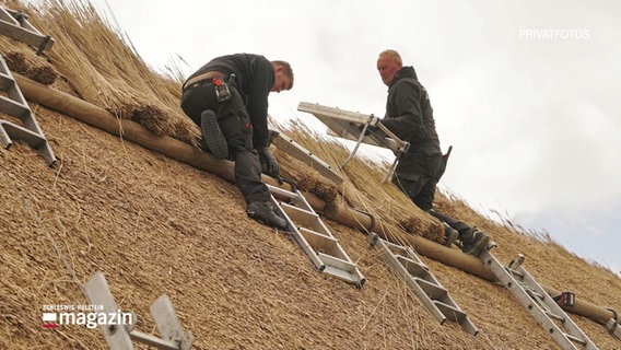 Zwei Männer decken ein Dach neu mit Reet. (Privatfoto) © Screenshot 