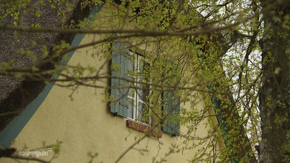 Das Dachfenster eines alten Hauses in einem Erholungsgebiet. © Screenshot 