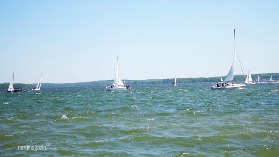 Segelschiffe auf dem Schweriner See. © Screenshot 