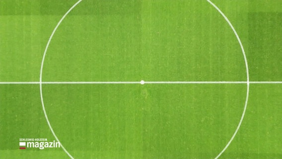 Aufsicht auf den Mittelkreis eines Fußball-Rasens. © Screenshot 