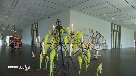 Skulpturen und Installationen von Kathleen Ryan im Ausstellungsraum © Screenshot 