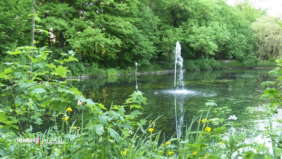 In einem Park ist ein See mit einem Springbrunnen zu sehen. © Screenshot 