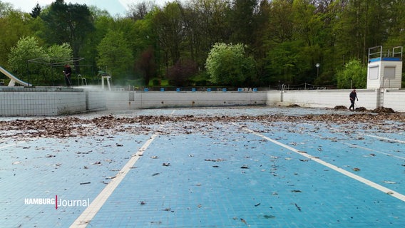 Ein leeres Schwimmbecken im Freibad mit viel Laub. © Screenshot 