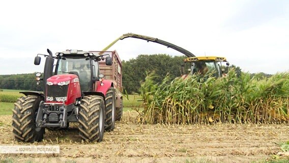 Zwei Traktoren auf einem Feld. © NDR 