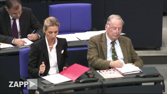 Alice Weidel und Alexander Gauland während einer Bundestagssitzung.  