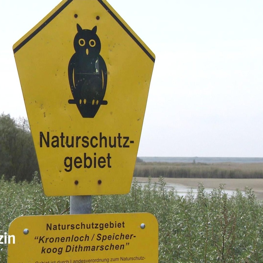 Ein gelbes Schild mit einer Eule darauf, das das Naturschutzgebiet Kronenloch / Speicherkoog Dithmarschen auszeichnet.  