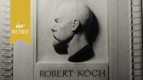 Gedenktafel (Relief) am Mausoleum für Robert Koch  