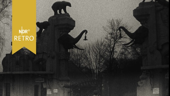 Eingangstor zu Hagenbeck's Tierpark 1956  