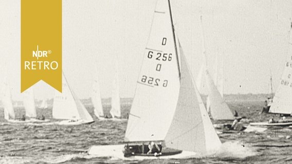 Jollen auf See bei Regatta im Rahmen der Kieler Woche 1963  