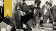 Arbeiter im Fischereihafen von Leer beim Vernageln von Heringsfässern (1961)  