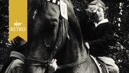 Junge Reiterin wischt sich am Ende des Geländeritts beim Jugend-Reitturnier in Plön den Schweiß ab (1961)  