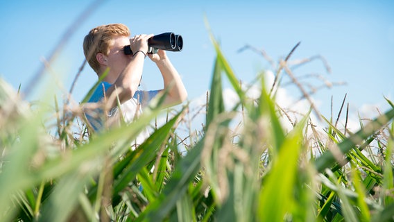 Ein Junge sieht mit einem Fernglas au einem Kornfeld © fotolia.com Foto: grafikplusfoto