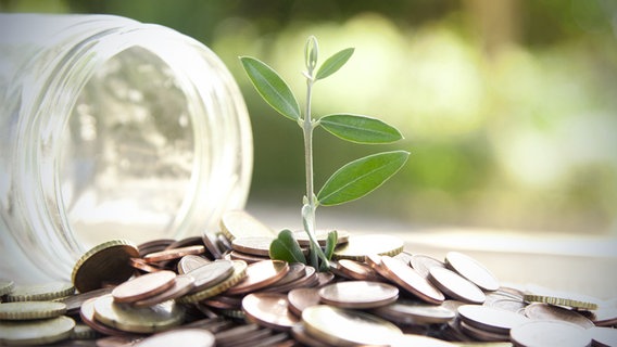 Der Sproß einer Pflanze ragt vor natürlichem HIntergrund aus einem Haufen Münzen, die aus einem Glas geschüttet wurden © fotolia.com Foto:  carballo
