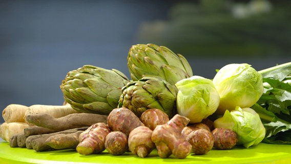 Inulinhaltiges Gemüse: Artischocke, Chicoree, Schwarzwurzel, Topinambur, Pastinake, Löwenzahn. Inulinhaltiges Gemüse: Artischocke, Chicoree, Schwarzwurzel, Topinambur, Pastinake, Löwenzahn. © NDR Foto: Oliver Zydek/Moritz Schwarz
