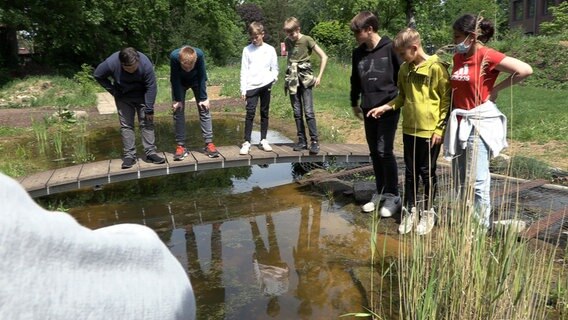 Im Garten der Hamburger Irena-Sendler-Schule haben Ehrenamtliche und Eltern einen Teich angelegt, an dem sich Frösche, Molche und Libellen beobachten lassen. © NDR/doclights 