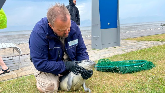 Neben seinem Beruf ist Gastronom Karl-Heinz Kolle ehrenamtlicher Seehundjäger. Und damit auch für die Rettung gestrandeter Seehundwelpen zuständig. © NDR/Nathalie Siegler 