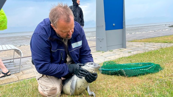 Neben seinem Beruf ist Gastronom Karl-Heinz Kolle ehrenamtlicher Seehundjäger. Und damit auch für die Rettung gestrandeter Seehundwelpen zuständig. © NDR/Nathalie Siegler 