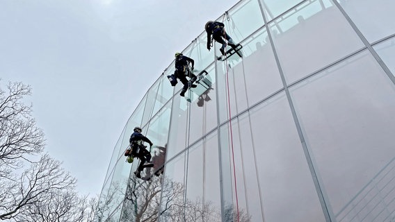 Das Auditorium der Bucerius Law School glänzt wieder - Maik Behrens und seine Kollegen putzen die Fenster. © NDR/Eco Media/Petra Wrenz 