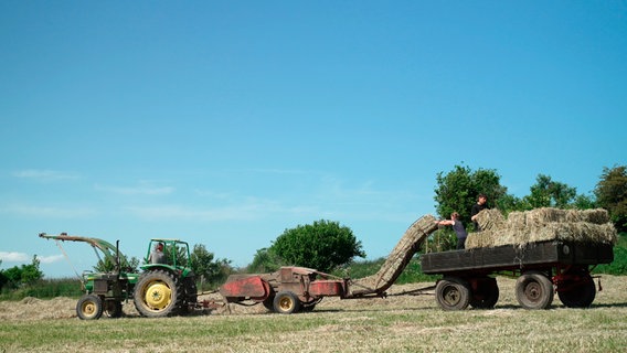 Heu-Ernte noch wie früher mit der Kleinballen-Presse, kein Plastik. Sie machen auf dem Hof keine Gras-Silage in Plastikfolie. Heu-Ernte noch wie früher mit der Kleinballen-Presse, kein Plastik. Sie machen auf dem Hof keine Gras-Silage in Plastikfolie. © NDR