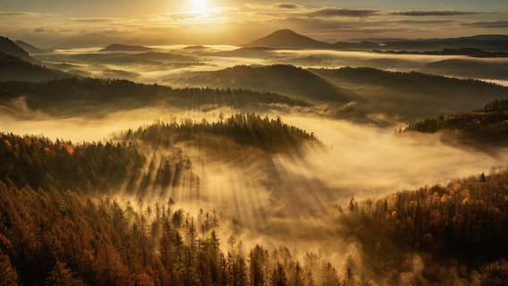Die Böhmische Schweiz. Ein Drehort, der Zaubertöne märchenhafter Romantik ausströmt. Berge, dichte Buchenwälder, wilde Täler, Labyrinthe aus Sandstein mit Höhlen und Schluchten. Es sind Meisterwerke der Natur: bizarr, skurril, urwüchsig. © NDR/Science Vision 