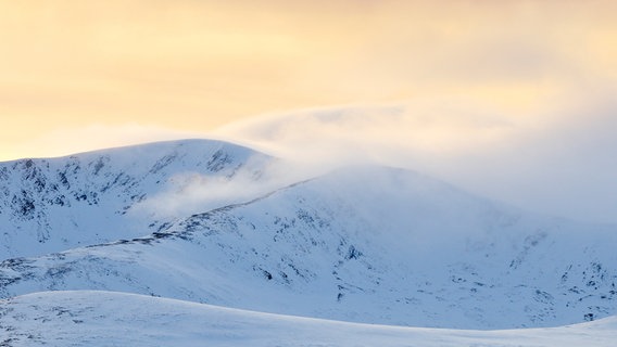 Der Cairngorms Nationalpark im Winter. © NDR/Terra Mater Studios GmbH/Maramedia/Skyland Prod./Fergus Gill 