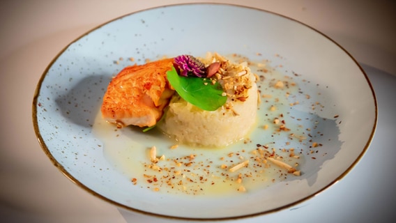 Ein Teller mit Blumenkohlrisotto. © NDR Foto: Dave Hänsel