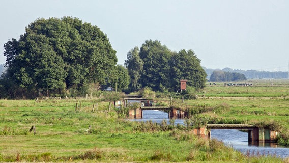 Weiden und ein Kanal im Bremener Blockland © imago images / Chromorange 