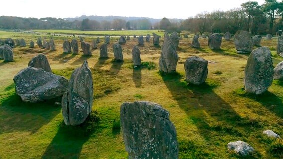 Die Menhire stehen seit Jahrtausenden in vier Reihen auf knapp vier Kilometern Länge in Carnac. © NDR/miramedia/Elke Bille 