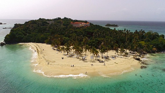 Ein Strand mit Palmen und türkisblauem Meer. © NDR/docstation/Marco Berger 
