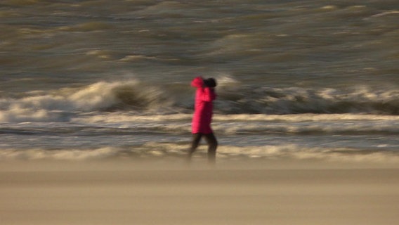 Heike Götz ganz klein am Strand von Norderney. © NDR 