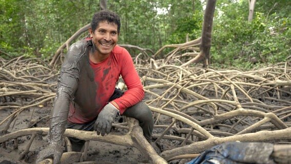 Plackerei für eine Delikatesse: Pedro Pires auf der Jagd nach Krebsen, die sich tief im Matsch der Mangroven verstecken. Plackerei für eine Delikatesse: Pedro Pires auf der Jagd nach Krebsen, die sich tief im Matsch der Mangroven verstecken. © NDR/Julian Ringer