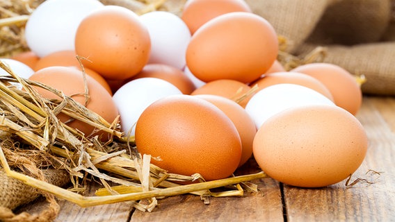 Weiße und braune Eier liegen im Stroh. © fotolia.com Foto: motorolka