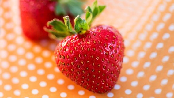 Erdbeeren Polka © picture alliance / Bildagentur-o 