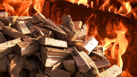 Feuerholz liegt auf einem Haufen, dahinter lodern Flammen © Imago Foto: Imago / Petra Schneider